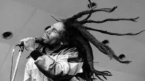 rasta-gecici-rasta-dreadlocks